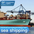 Experienced sea freight forwarding door-to-door service transportation from China to US